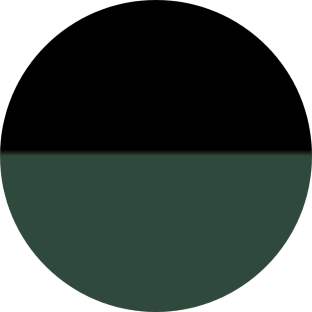 メーカーオプション： 55,000円（消費税込み）　　ブラック&times;エバーレスト